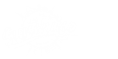 LOGO BLANCO WEB